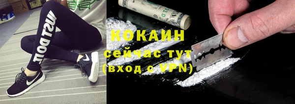 сатива Кулебаки