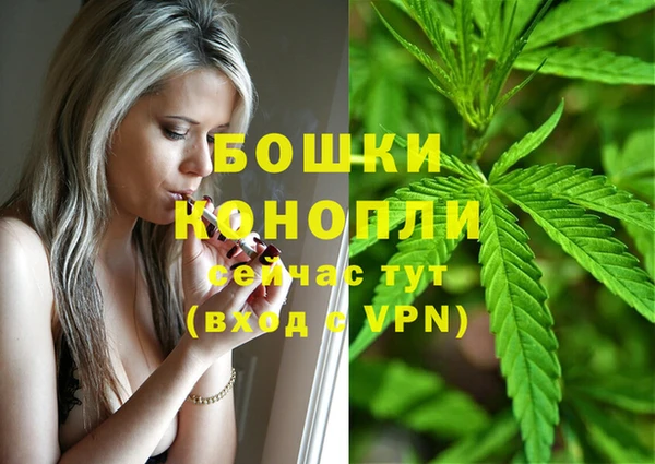 винт Каменка