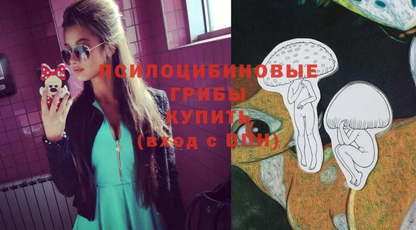 винт Каменка