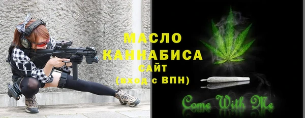 винт Каменка
