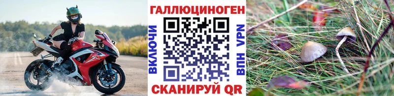 Галлюциногенные грибы мицелий  Судогда 
